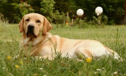 What our Clients say